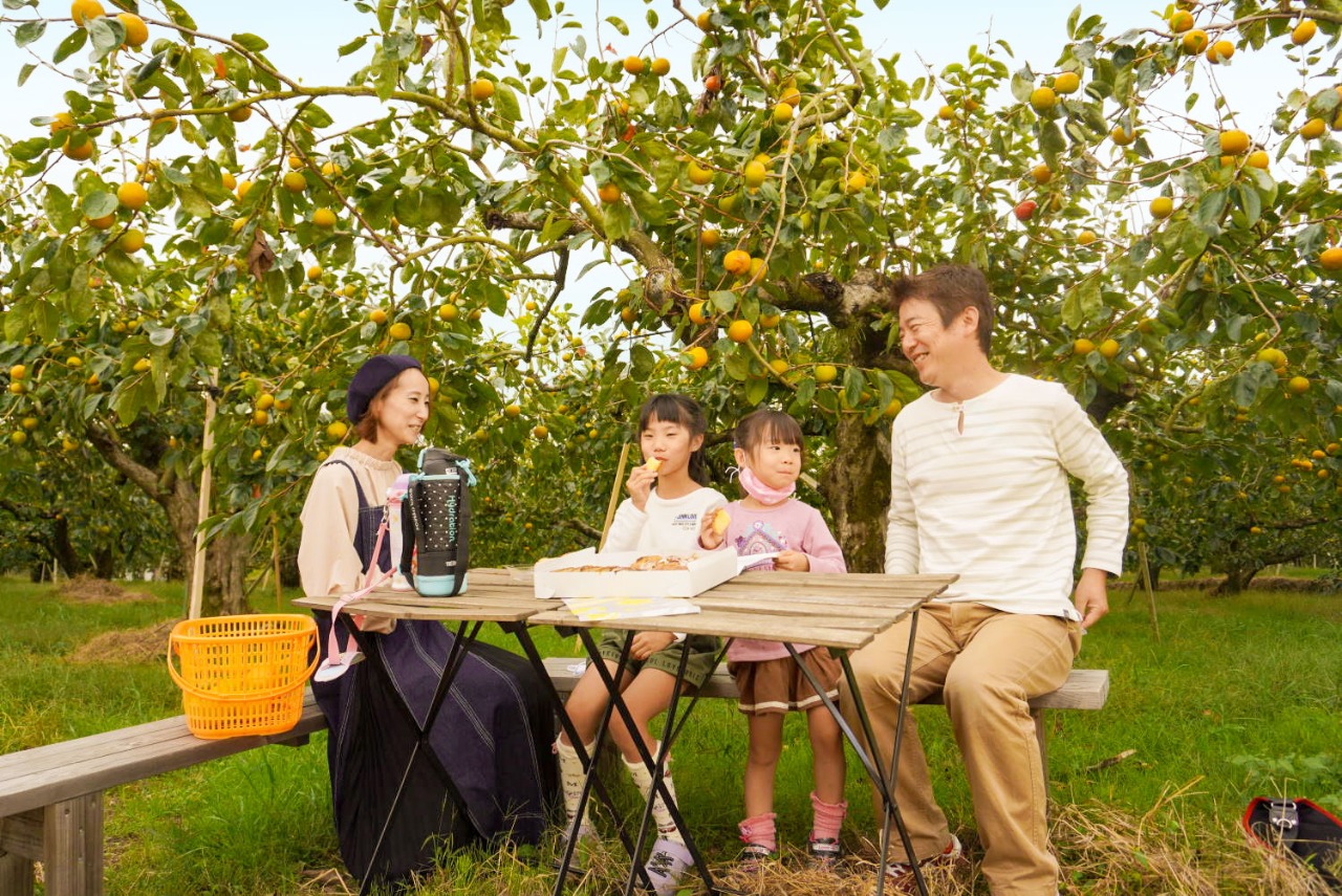 柿狩りを楽しむ家族の画像
