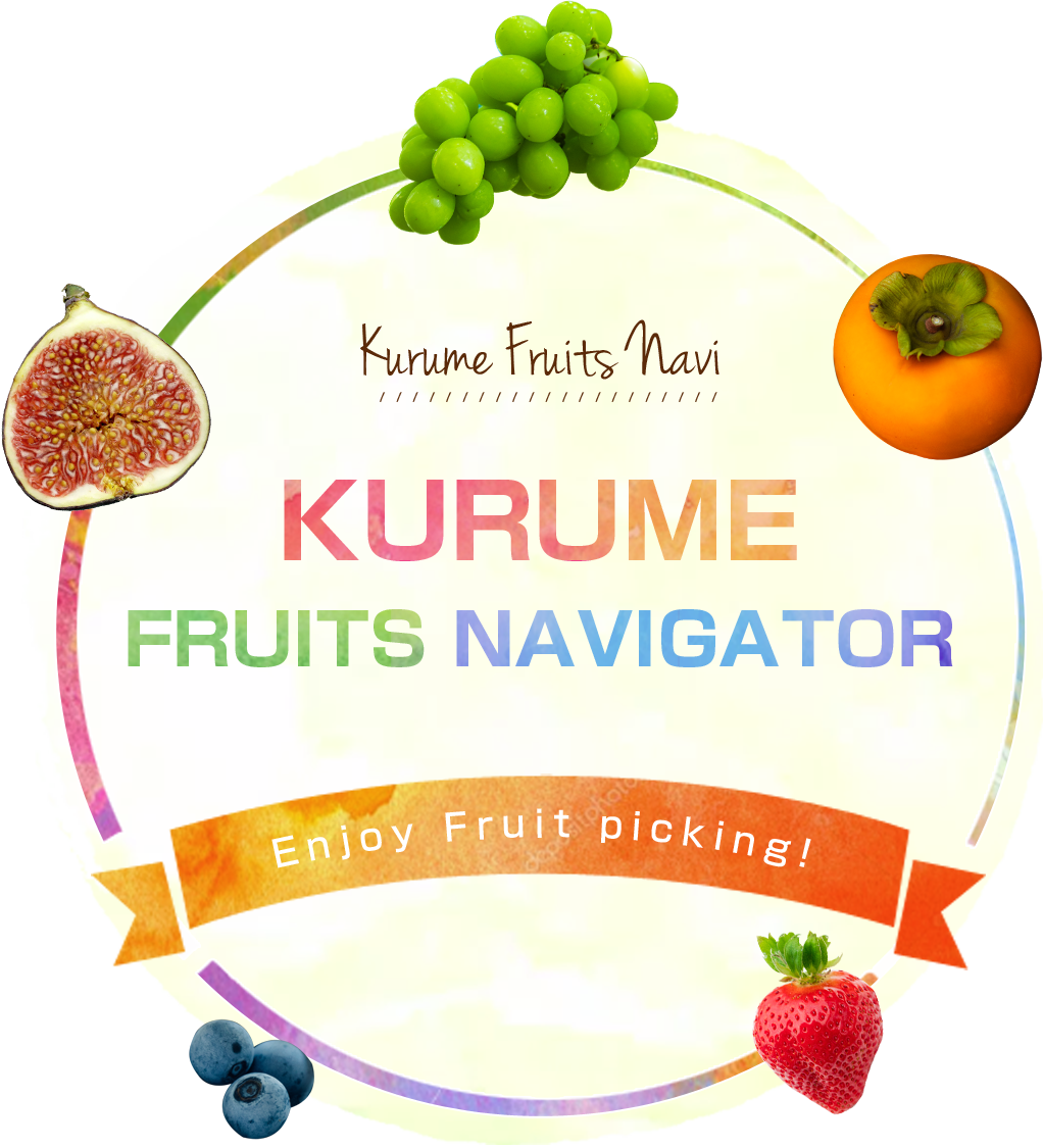 Kurume fruits navigation