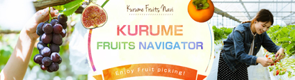 KURUME FRUITS NAVIGA TOR
