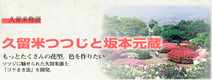 久留米物語
久留米つつじと坂本元蔵
 もっとたくさんの花型、色を作りたい。
 ツツジに魅せられた久留米藩士、
 「コケまき法」を開発。